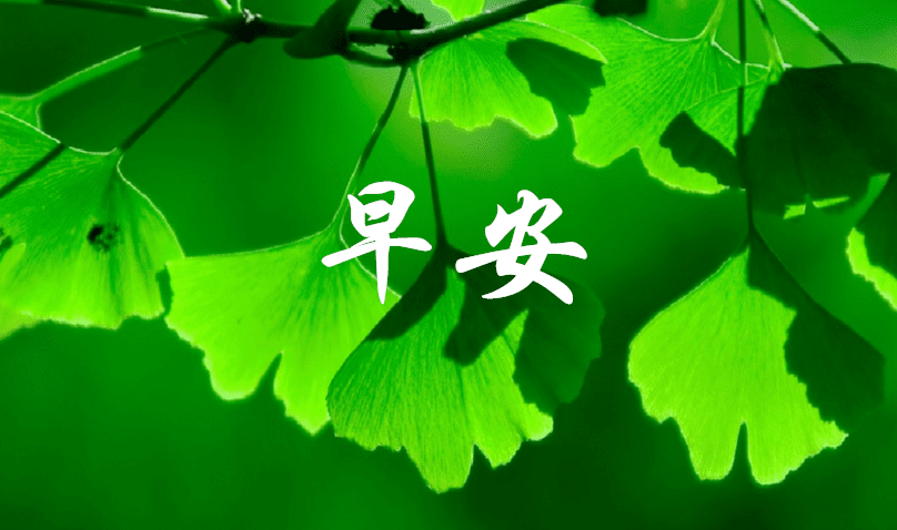 艰难的隐喻