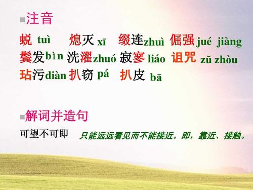 理想的一句话
