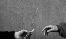 装大尾巴狼歇后语