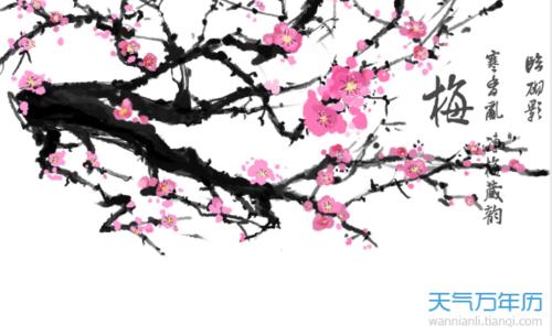 赞美梅花的寓言