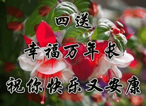 新年的九福