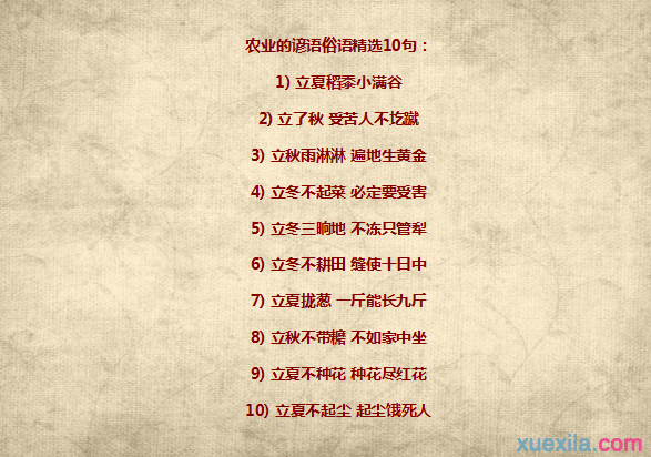 关于猪的寓言