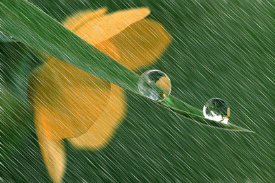 漂亮的句子，心情谈话和细雨的图片