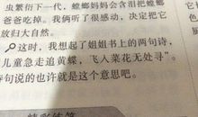 我的爸爸好词好句