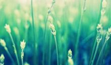 九月初九的祝福语