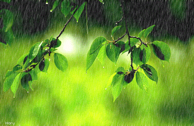 细雨优美的句子，心情和图片1