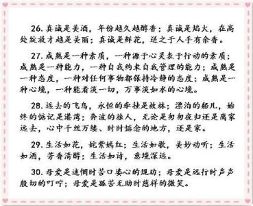 句子摘录30字