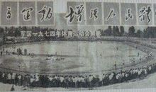 表达战友情的句子