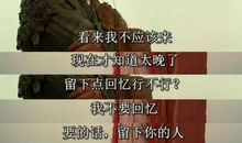 夫妻那些事经典语录