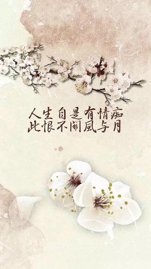 诗与月亮的诗