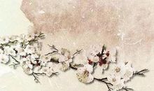 诗中带月的诗句