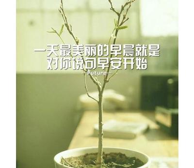 清晨的祝福