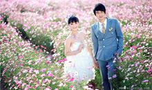 海底两万里经典句子