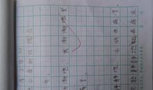 日光一年级造句大全