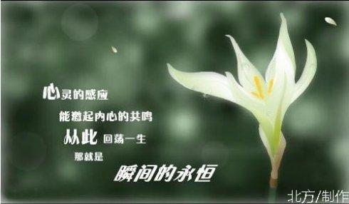 安慰有关亲人死亡的短信