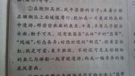 美丽的校园隐喻