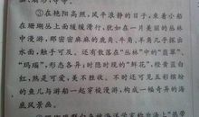 美丽的校园比喻句