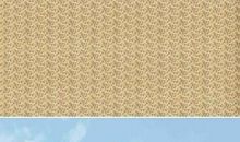 有关奔跑的名言