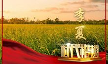 有关榜样的句子