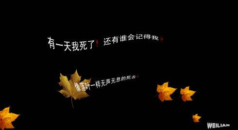 秋天的句子