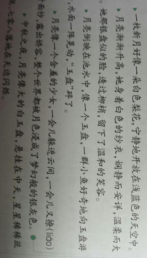 一整套描述月亮的单词