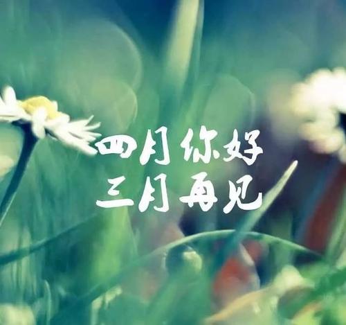 手机祝福短