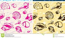 赞美贝壳的句子