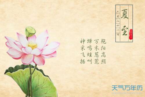 小满的谚语