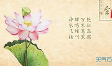 小满的俗语谚语