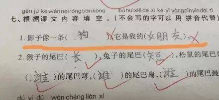 浪漫的一句话