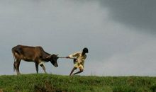 骑马过独木桥歇后语