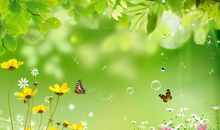 描写春天的诗句大全