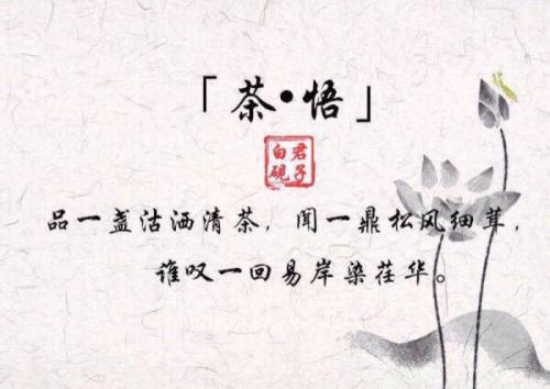 诗与月亮的诗