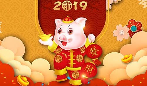 猪年
