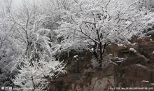 关于冬天的伤感短句