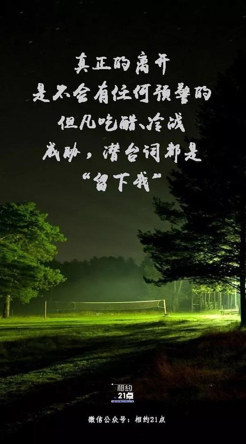 安静夜晚的句子