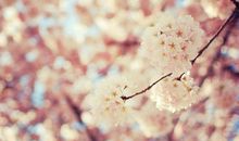 唯美的句子说说图片:心有月光,光不必那么热烈