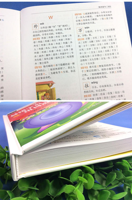 用句子拜访