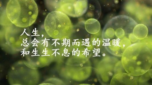 微信句子