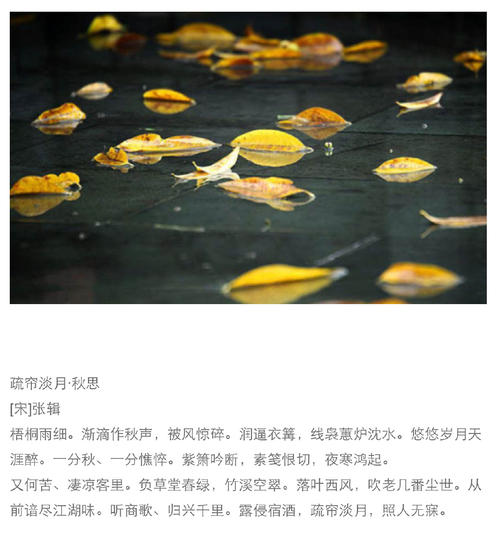 秋雨平行句