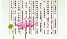 关于礼仪的谚语和古训