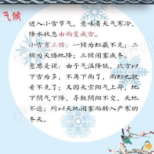 小雪节行情