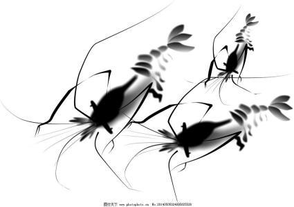 虾过河谢侯yu