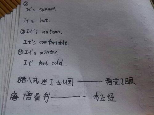 朱八姐代花鞋后衣