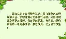 描写新年的优美句子