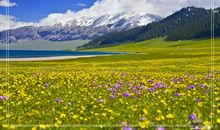 形容景色的比喻句