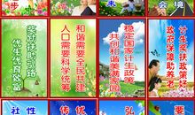 老年人运动会口号