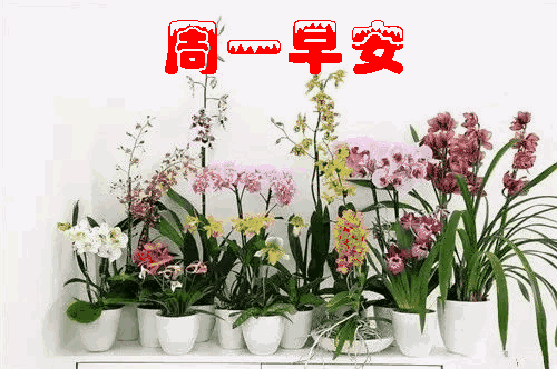 星期一的祝福