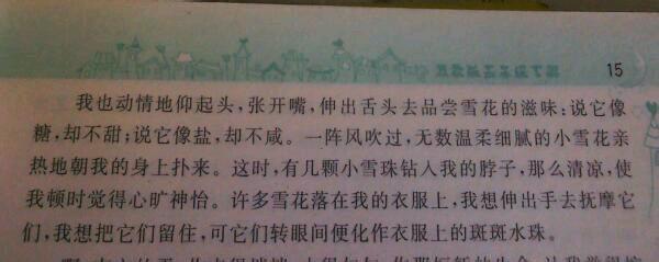 20个字