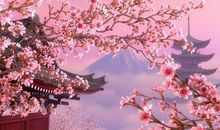 描写樱花盛开的句子